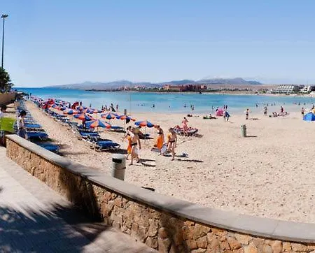 Sophia فيلة كاليتا ذي فوستي